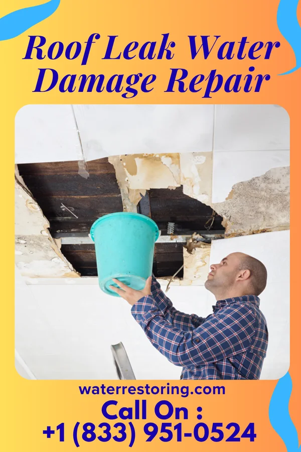 Roof Leak Water Damage Repair in Odessa, TX