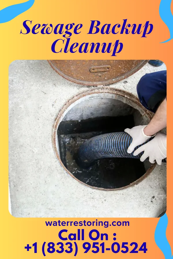 Sewage Backup Cleanup in Odessa, TX
